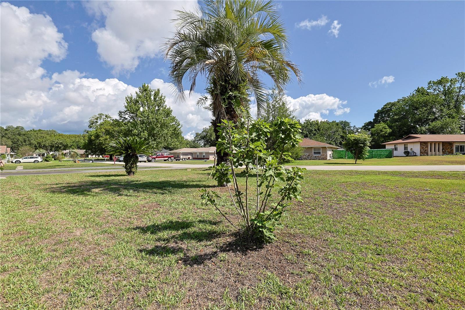 5060 NE 4TH ST, OCALA, FL, 34470