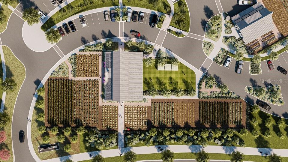 10289 GENTLE RAIN DR, LAND O LAKES, FL, 34638