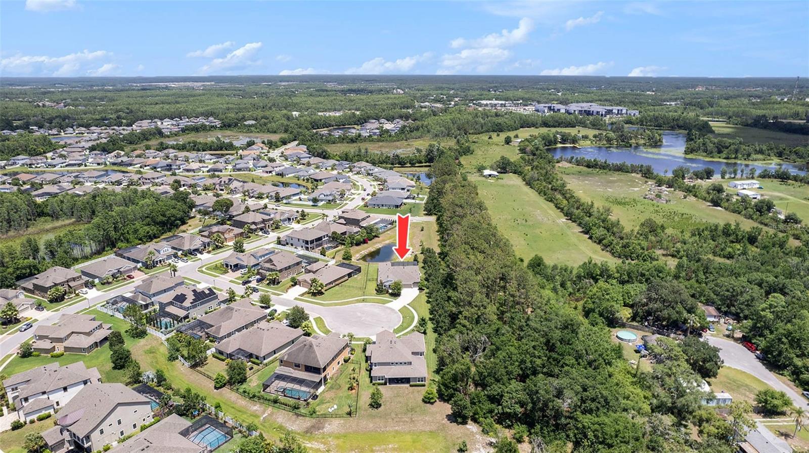 8016 ROCK SPRING CT, LAND O LAKES, FL, 34638