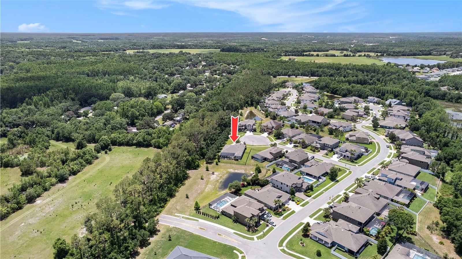 8016 ROCK SPRING CT, LAND O LAKES, FL, 34638