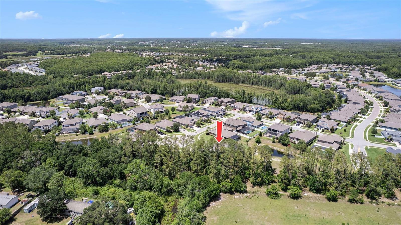 8016 ROCK SPRING CT, LAND O LAKES, FL, 34638