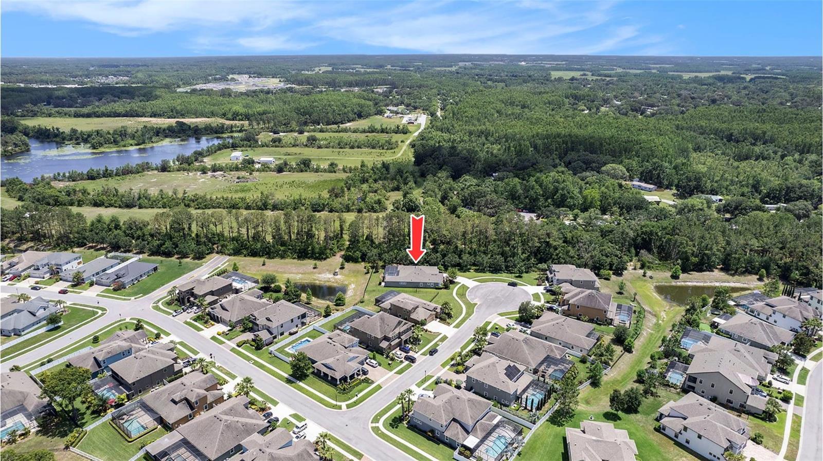 8016 ROCK SPRING CT, LAND O LAKES, FL, 34638