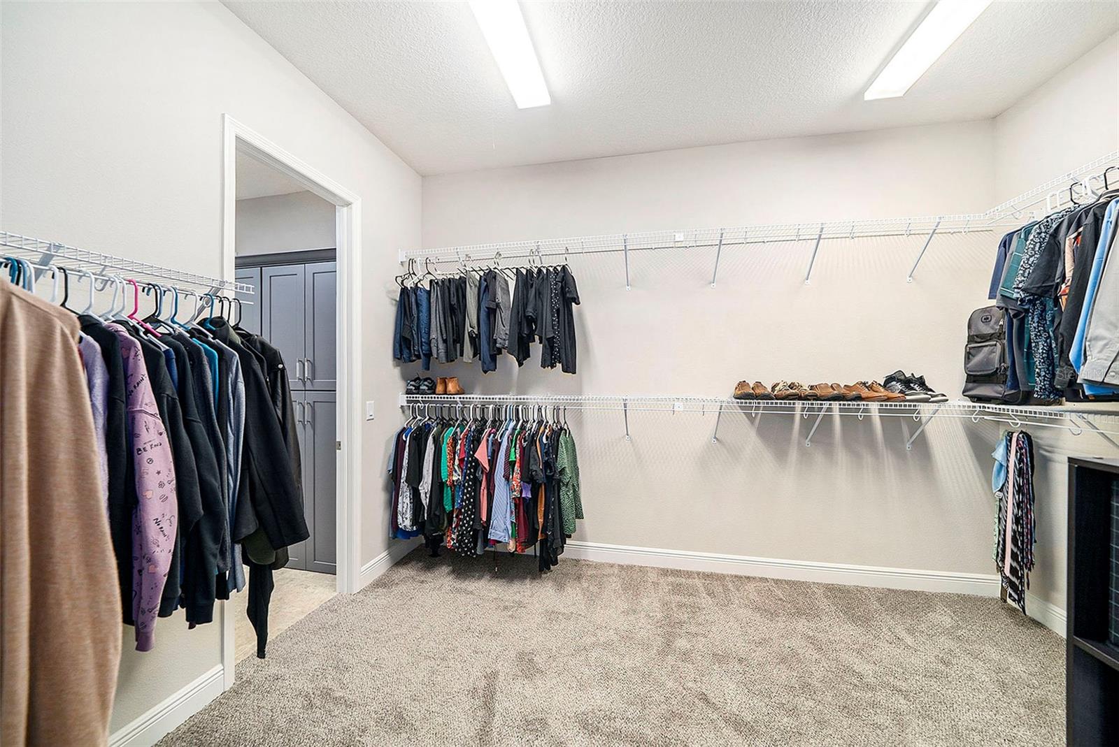 8016 ROCK SPRING CT, LAND O LAKES, FL, 34638