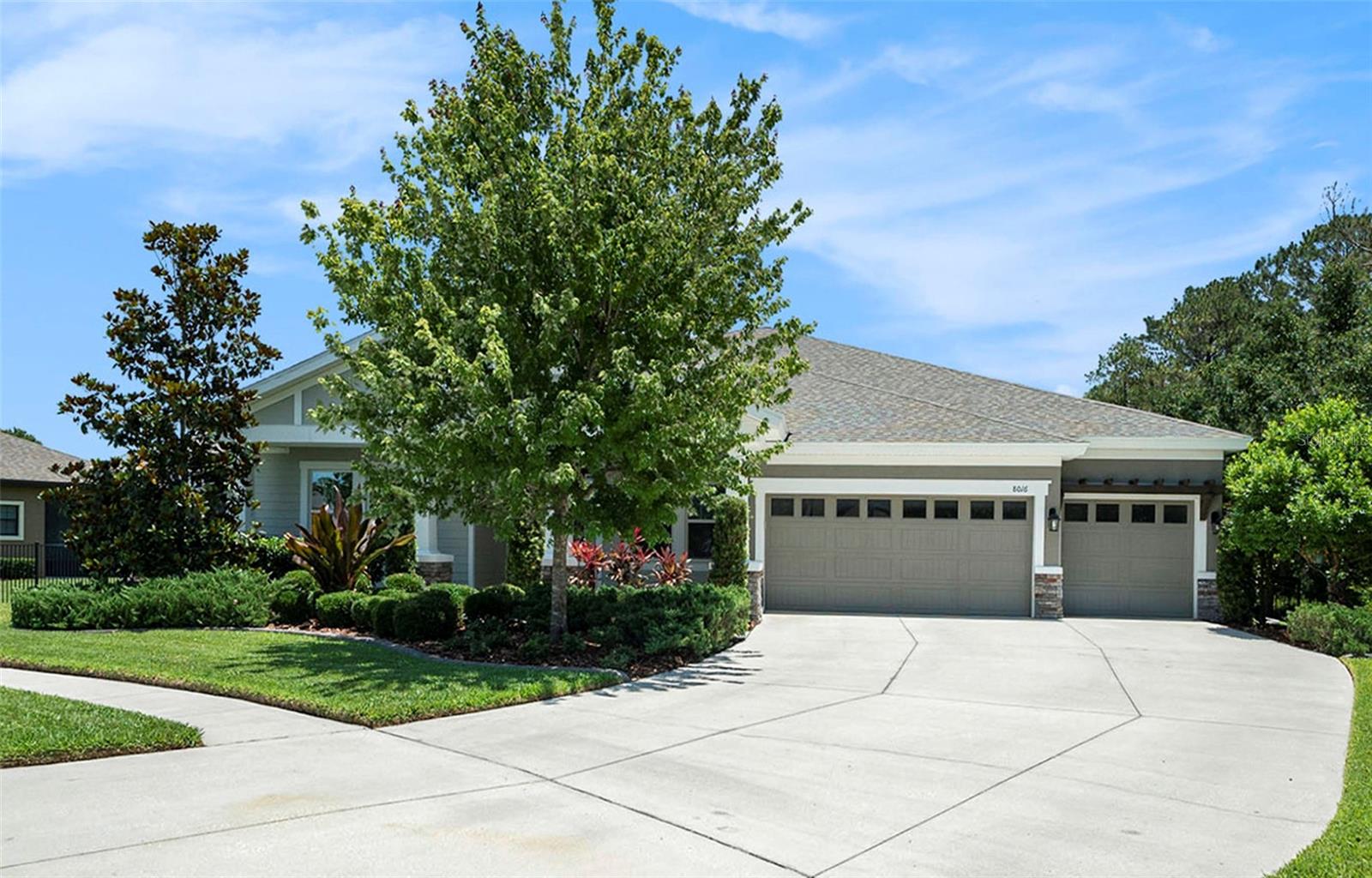 8016 ROCK SPRING CT, LAND O LAKES, FL, 34638