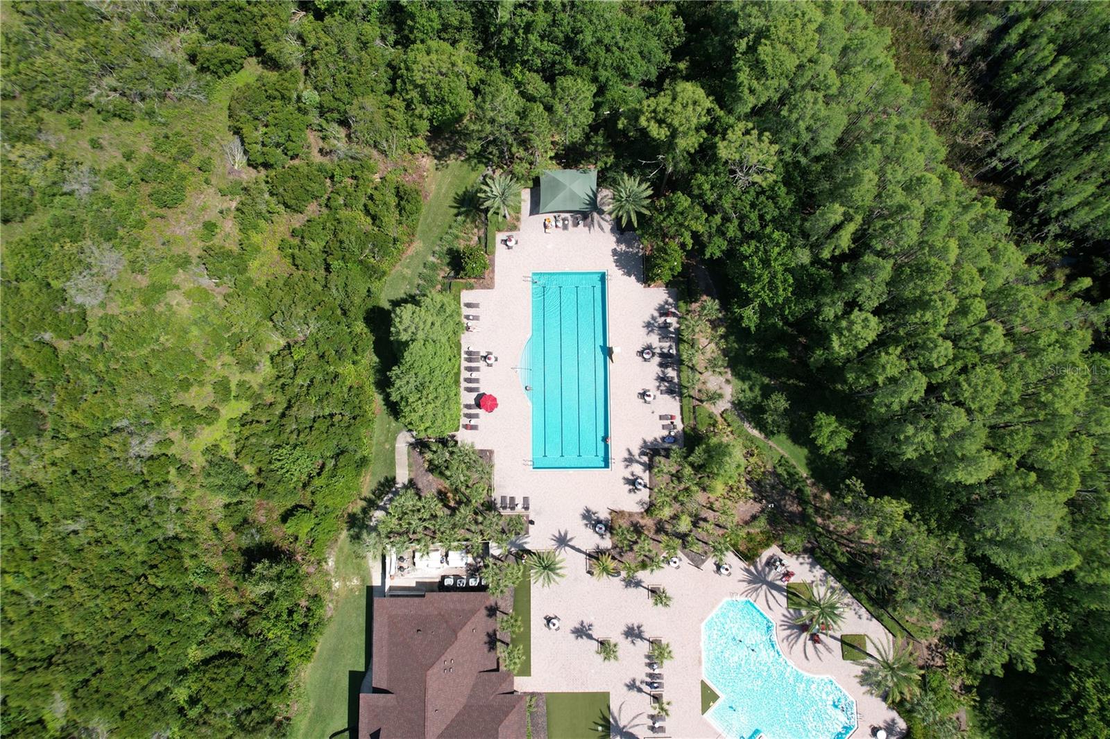 8016 ROCK SPRING CT, LAND O LAKES, FL, 34638