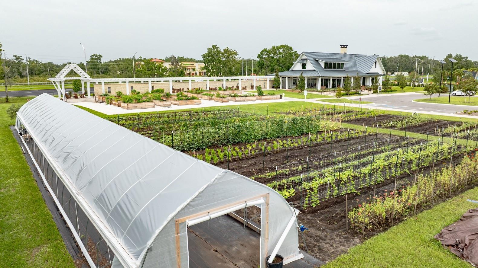 10873 RUSTIC EVE CT, LAND O LAKES, FL, 34638