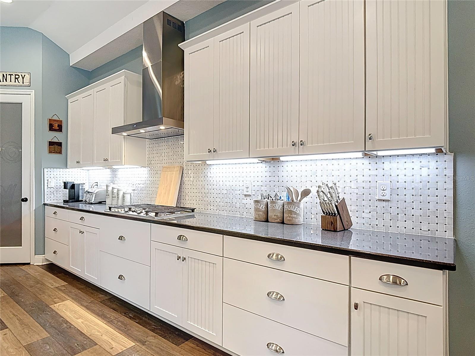 13706 OSPREY FERN LN, RIVERVIEW, FL, 33569