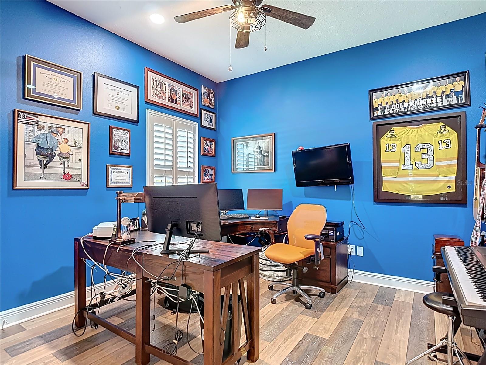 13706 OSPREY FERN LN, RIVERVIEW, FL, 33569