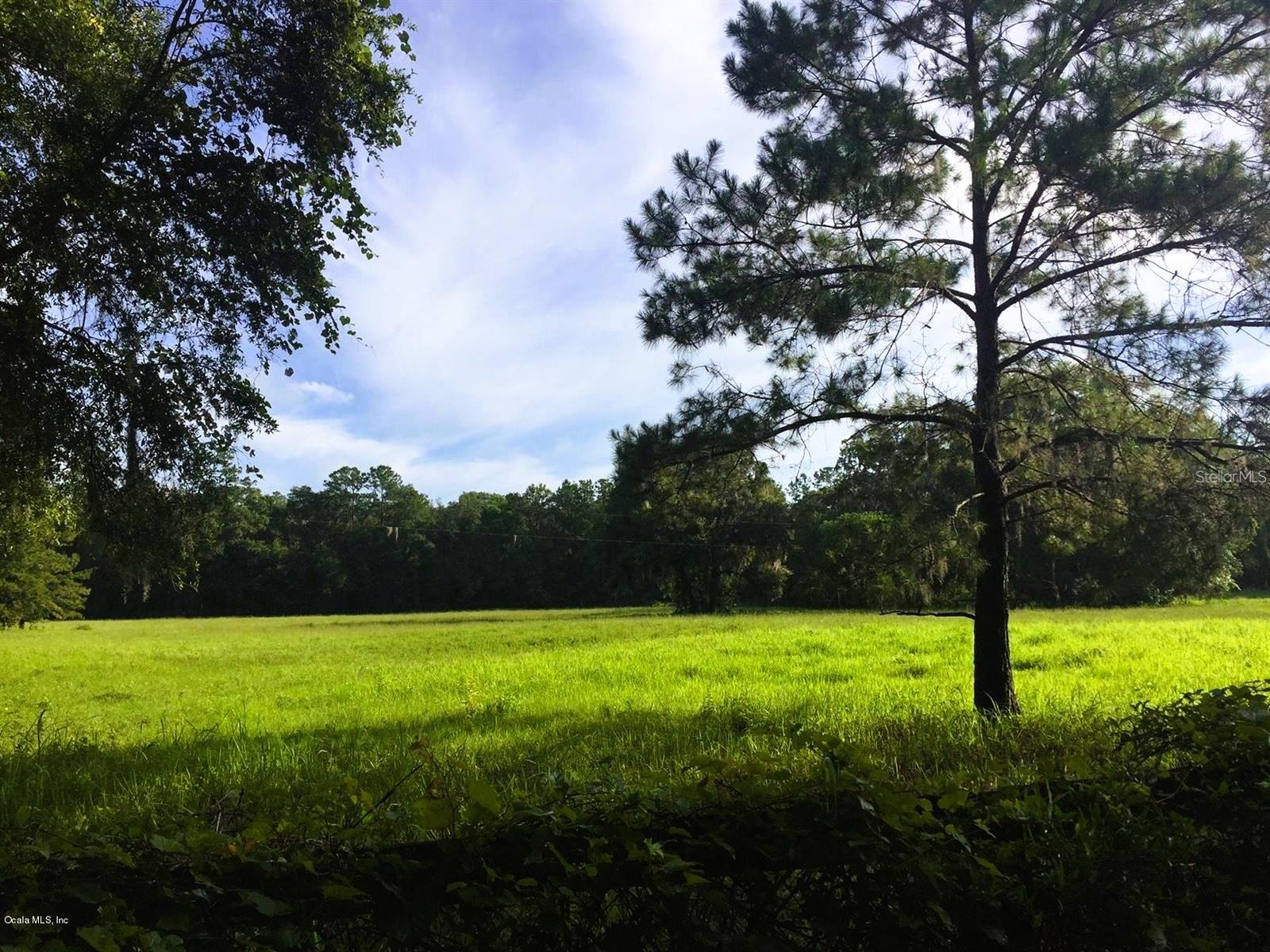 5201 W HIGHWAY 329, REDDICK, FL, 32686