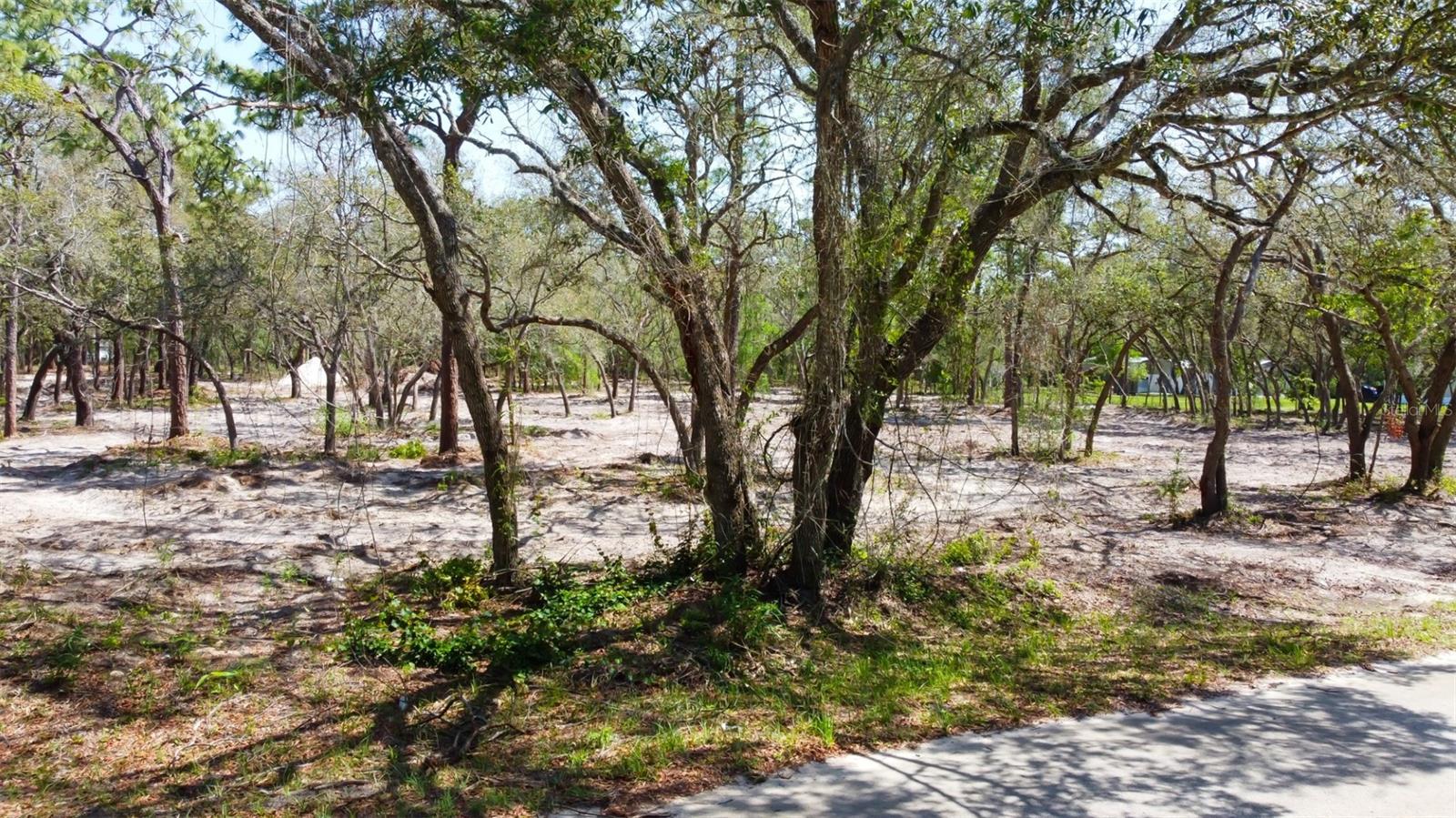 0 AKINS DR, SPRING HILL, FL, 34604