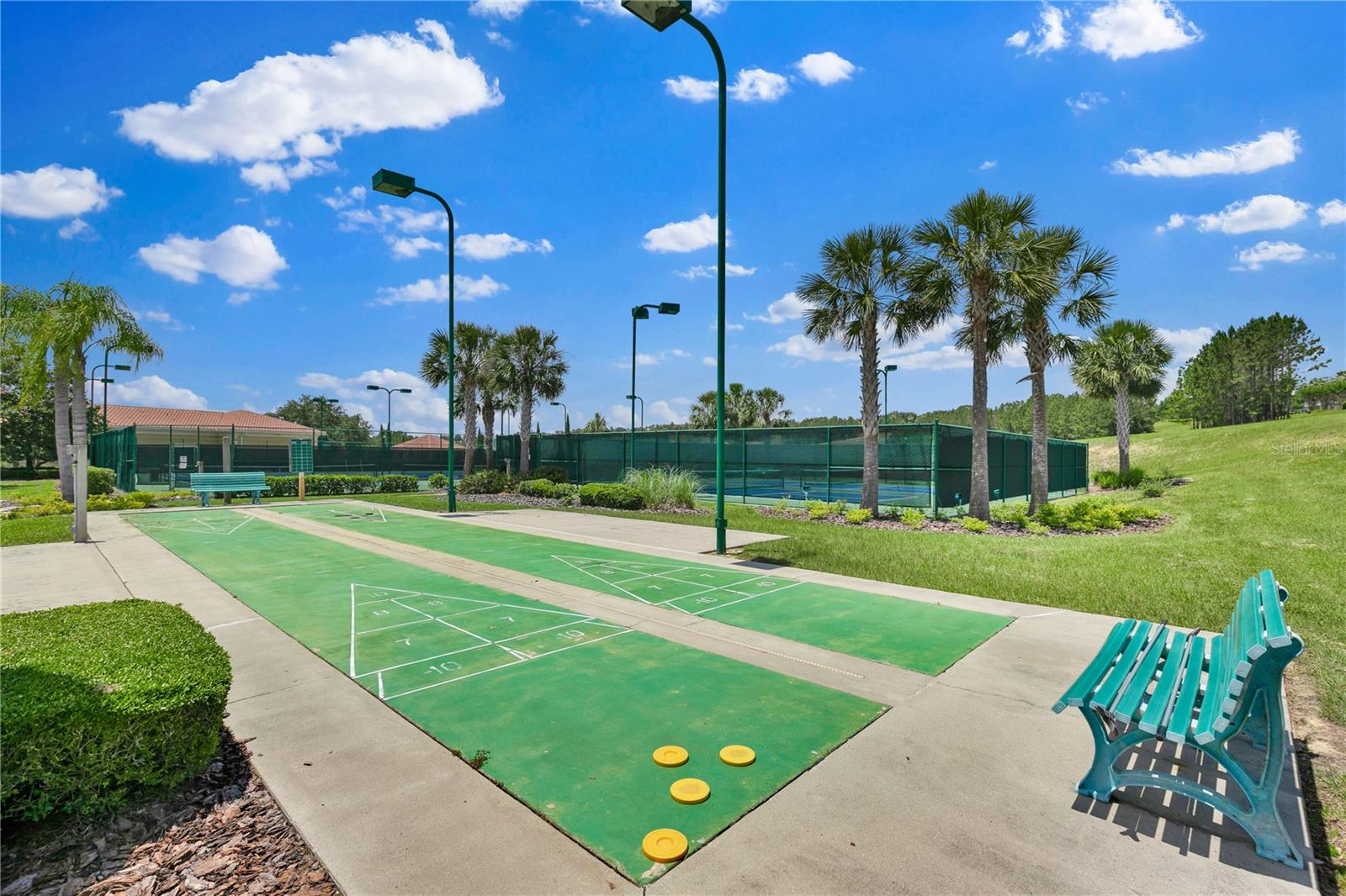 3677 SERENA LN, CLERMONT, FL, 34711