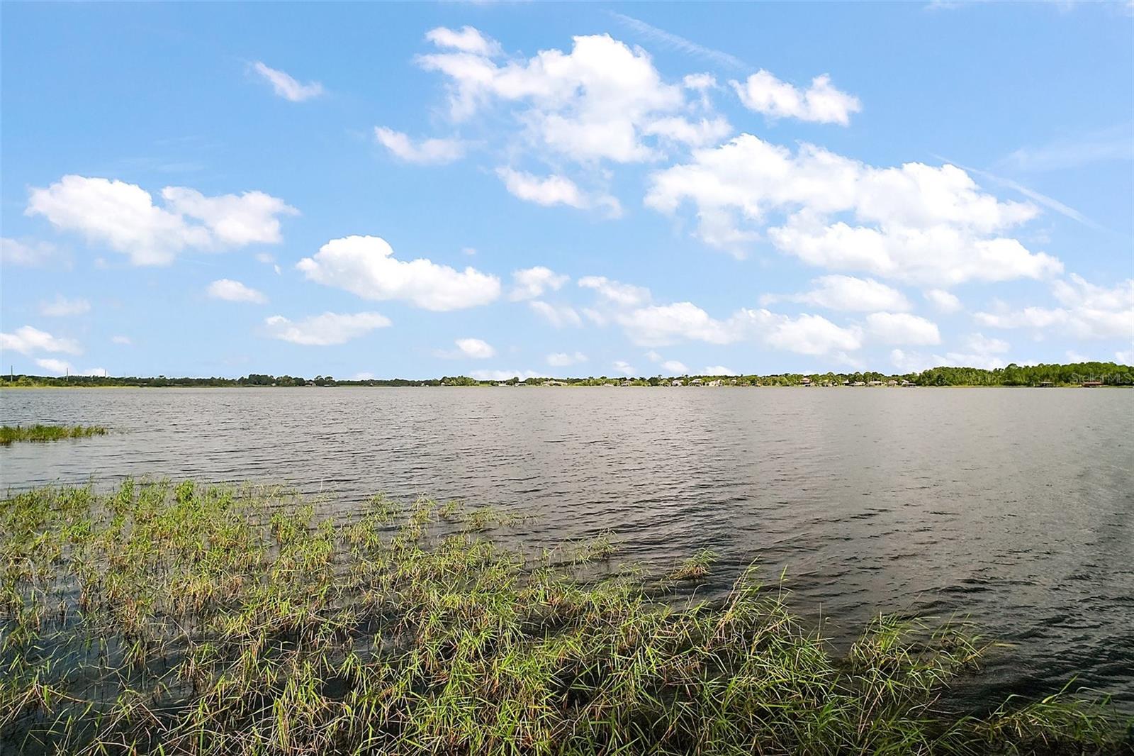 1861 EDGEWATER DR, MOUNT DORA, FL, 32757