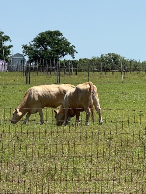 7472 WPA RD, BROOKSVILLE, FL, 34601