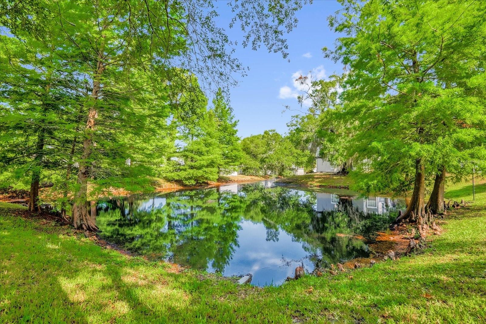 935 NORTHERN DANCER WAY #107, CASSELBERRY, FL, 32707