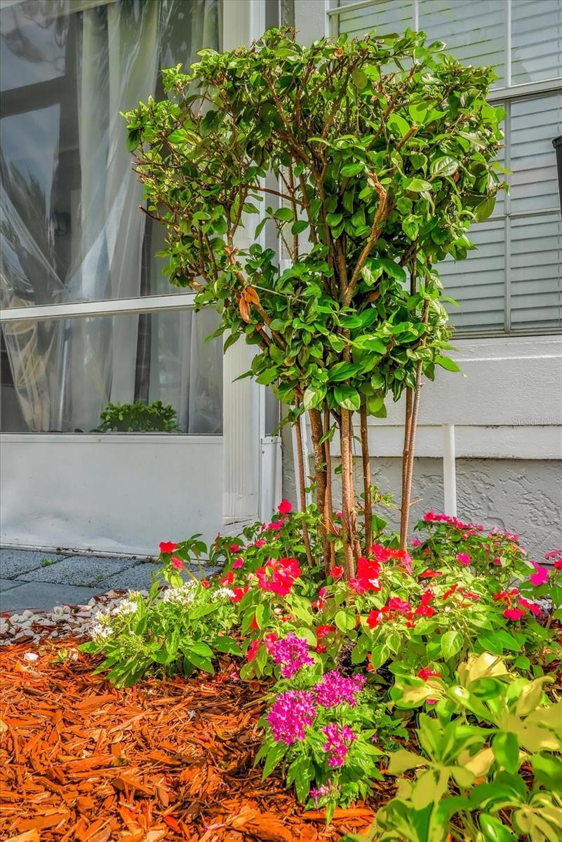 935 NORTHERN DANCER WAY #107, CASSELBERRY, FL, 32707