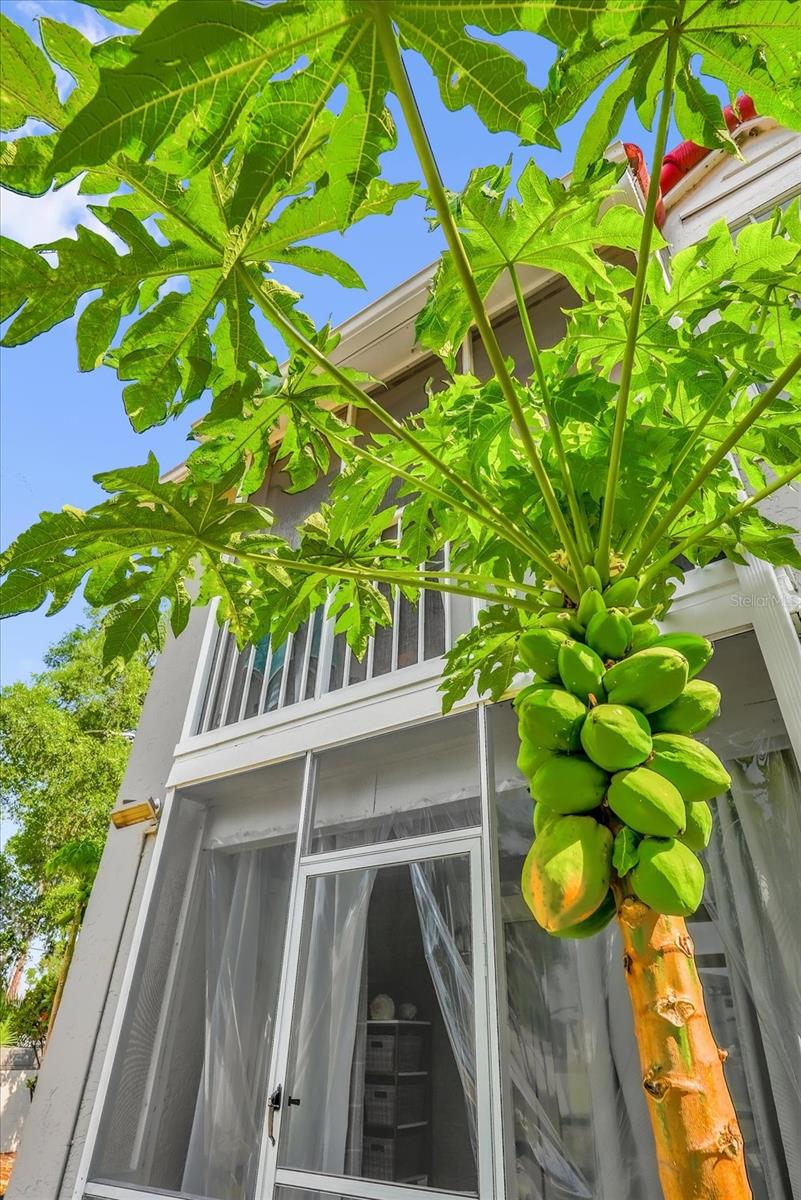 935 NORTHERN DANCER WAY #107, CASSELBERRY, FL, 32707