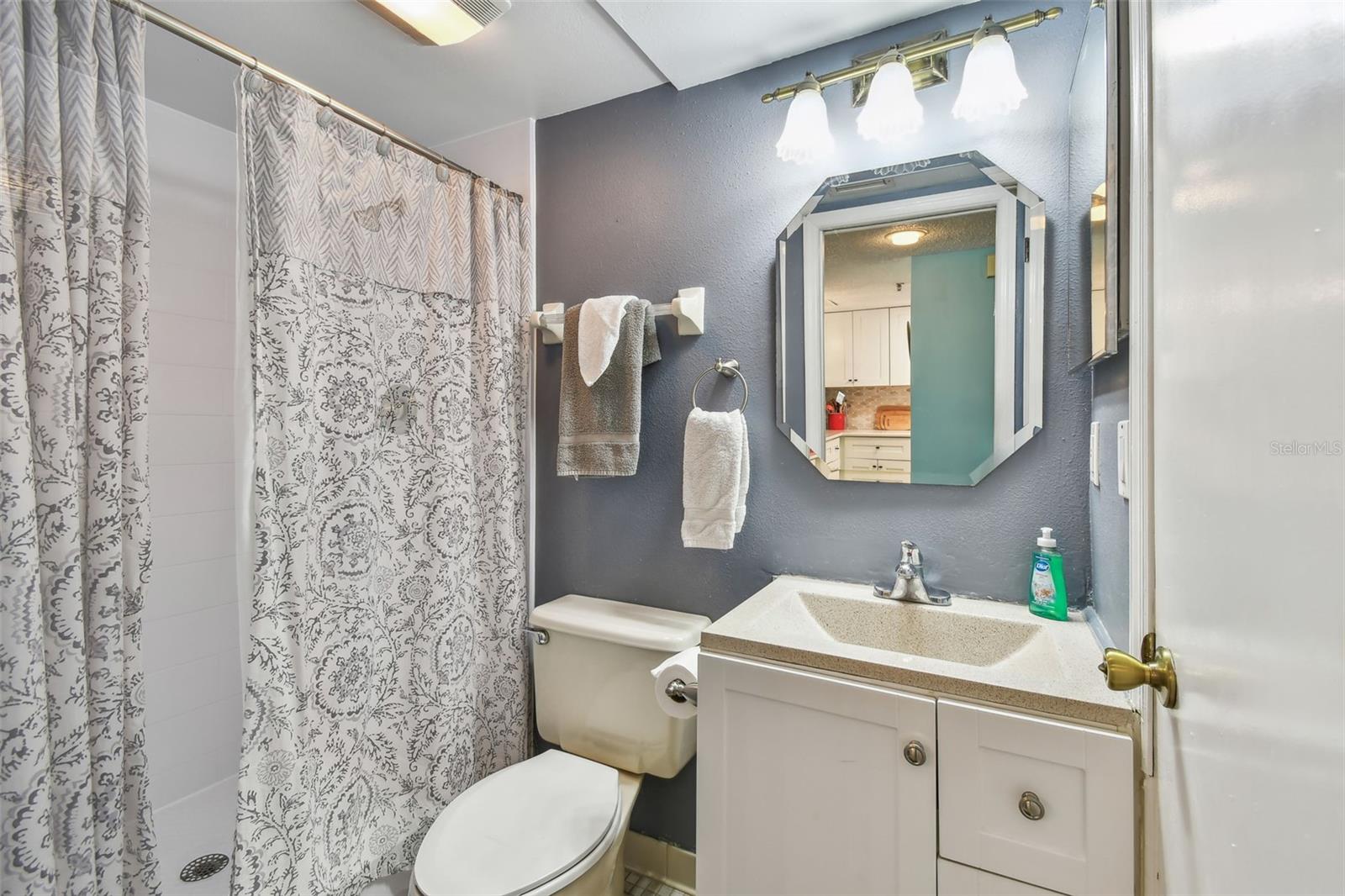 19925 GULF BLVD #105, INDIAN SHORES, FL, 33785