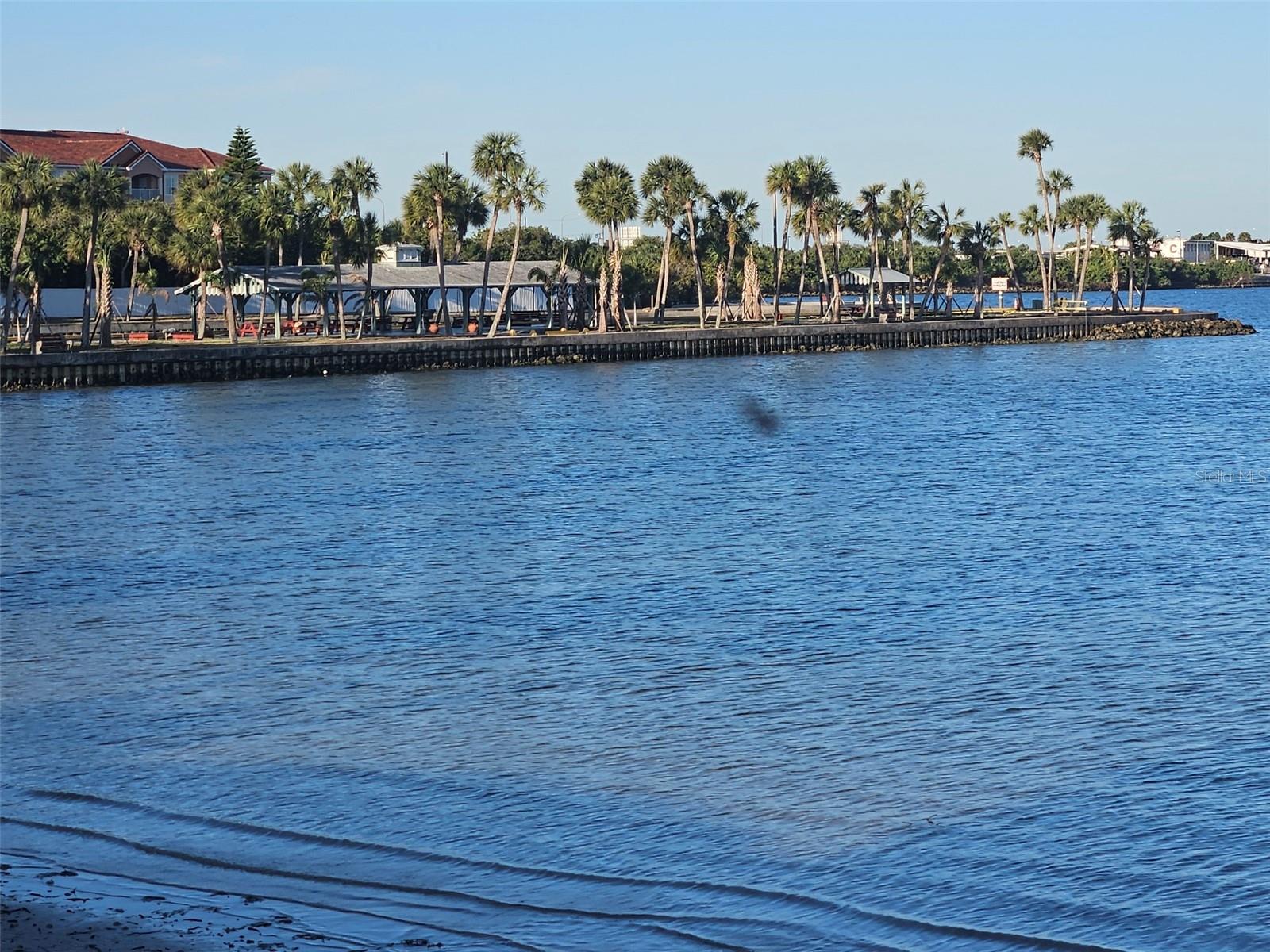 4851 W GANDY BLVD #23C, TAMPA, FL, 33611