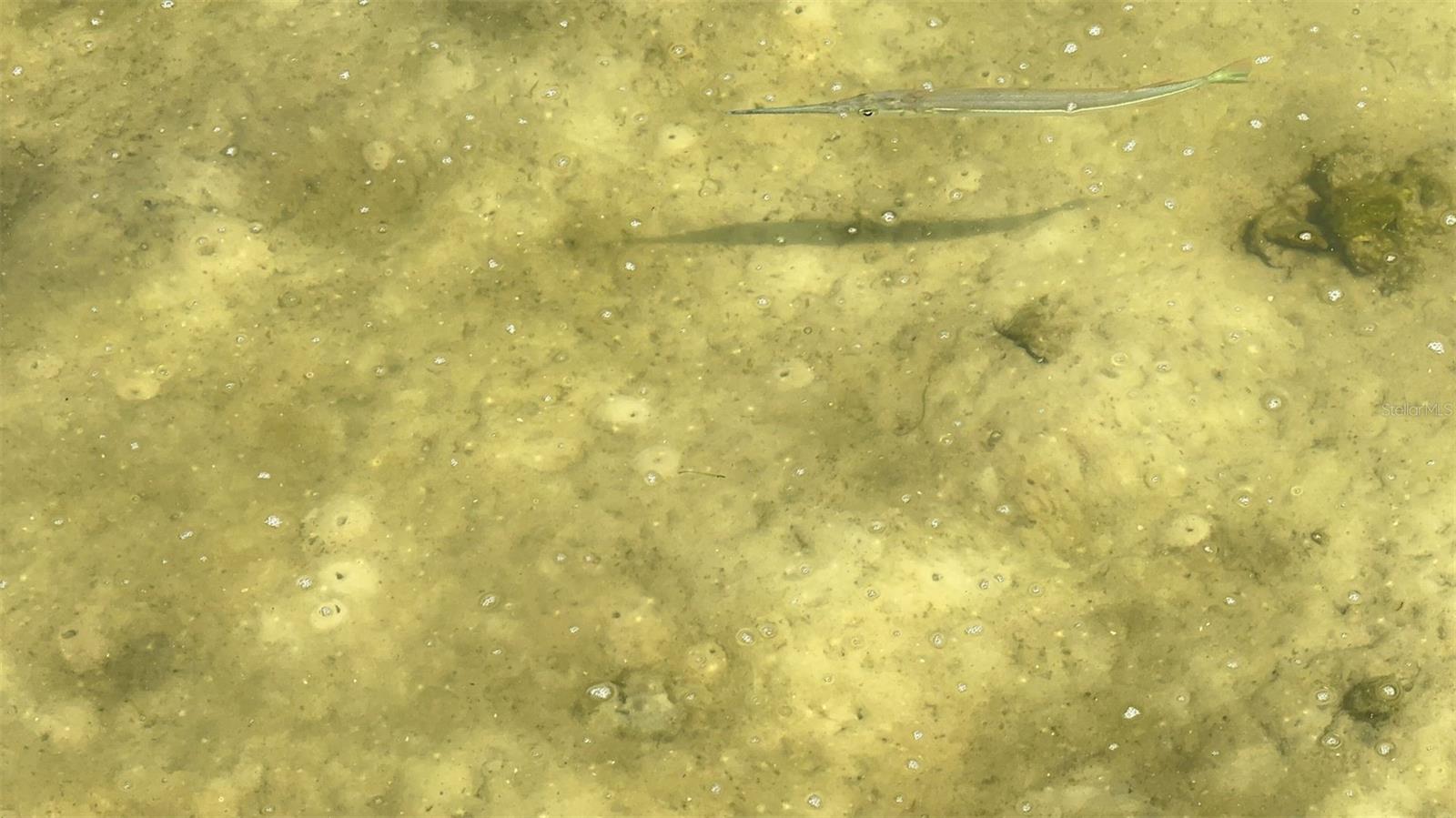 4851 W GANDY BLVD #23C, TAMPA, FL, 33611