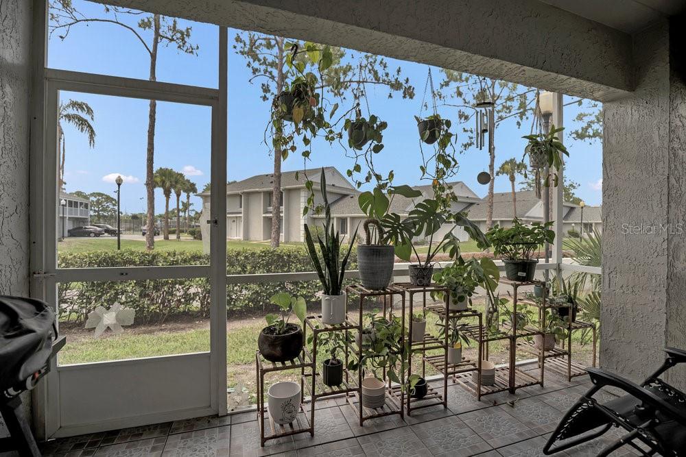 5635 BLUE SHADOWS CT #3, ORLANDO, FL, 32811