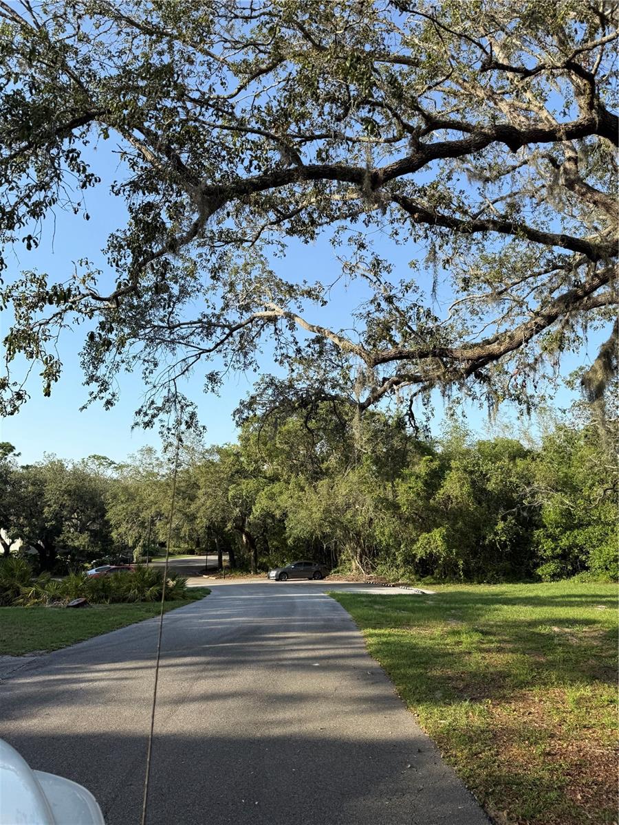 O6310480 Property Photo