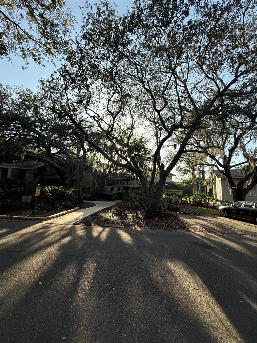 O6310480 Property Photo