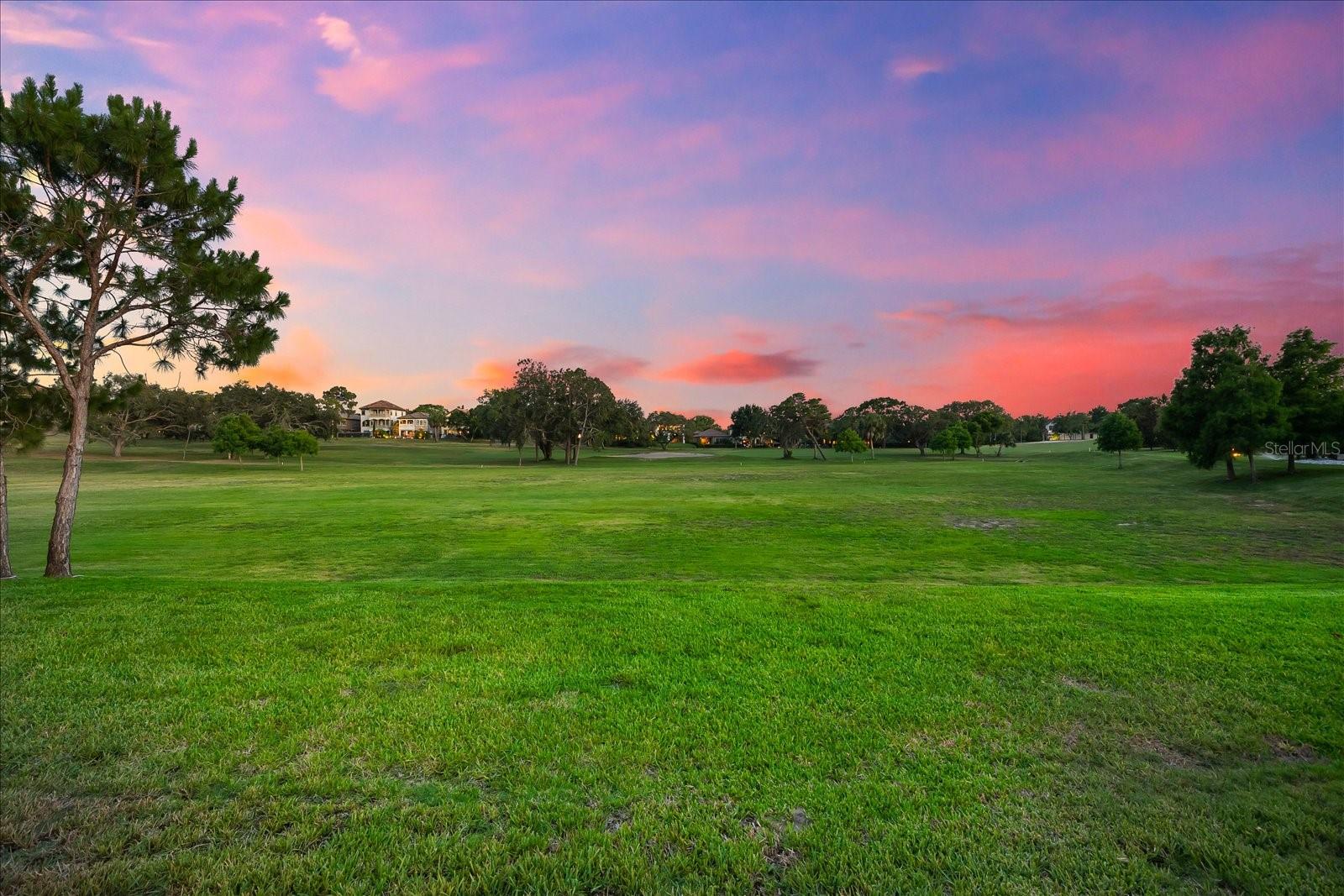 1416 VIA VERDI DR, PALM HARBOR, FL, 34683