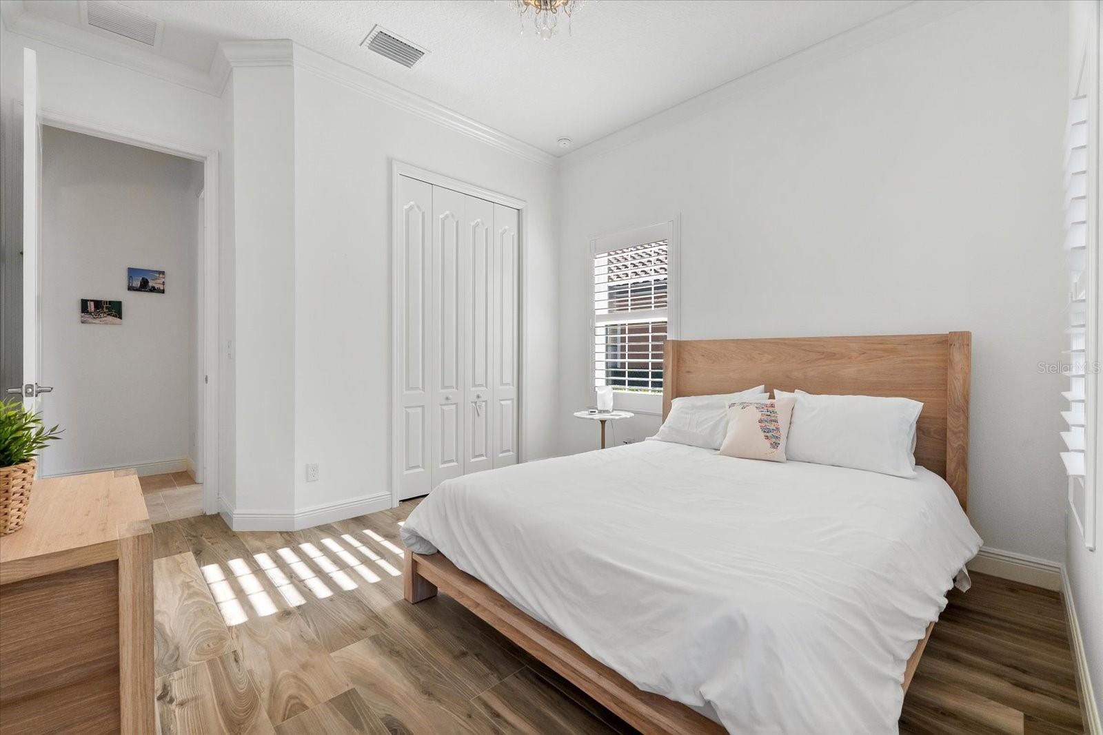 1416 VIA VERDI DR, PALM HARBOR, FL, 34683