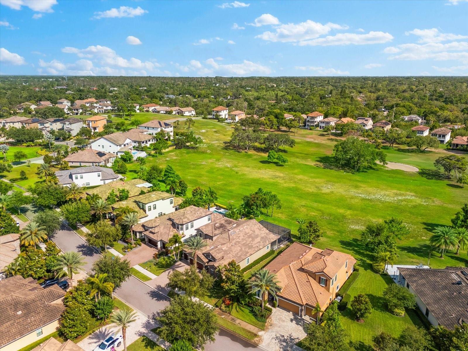 1416 VIA VERDI DR, PALM HARBOR, FL, 34683