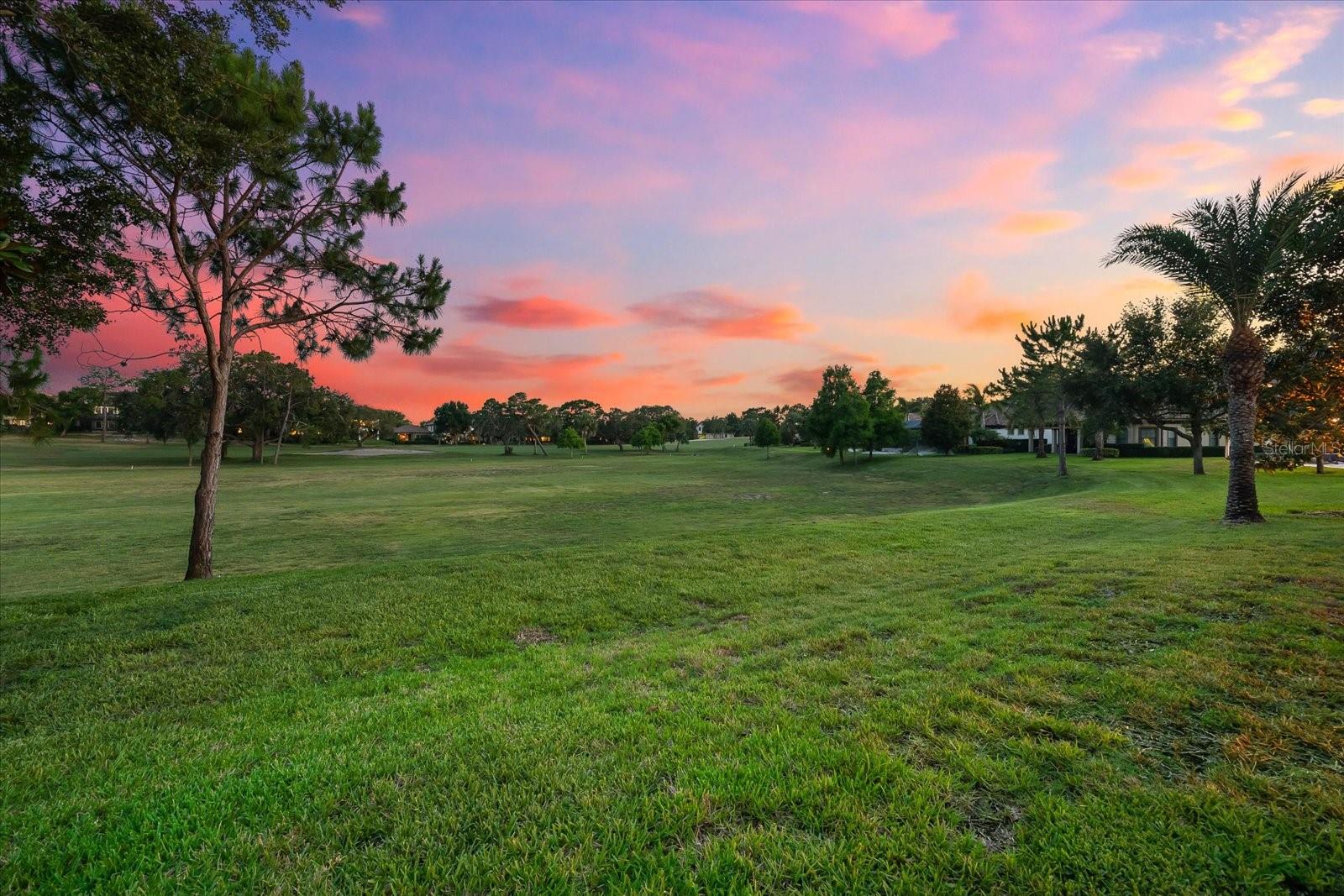 1416 VIA VERDI DR, PALM HARBOR, FL, 34683