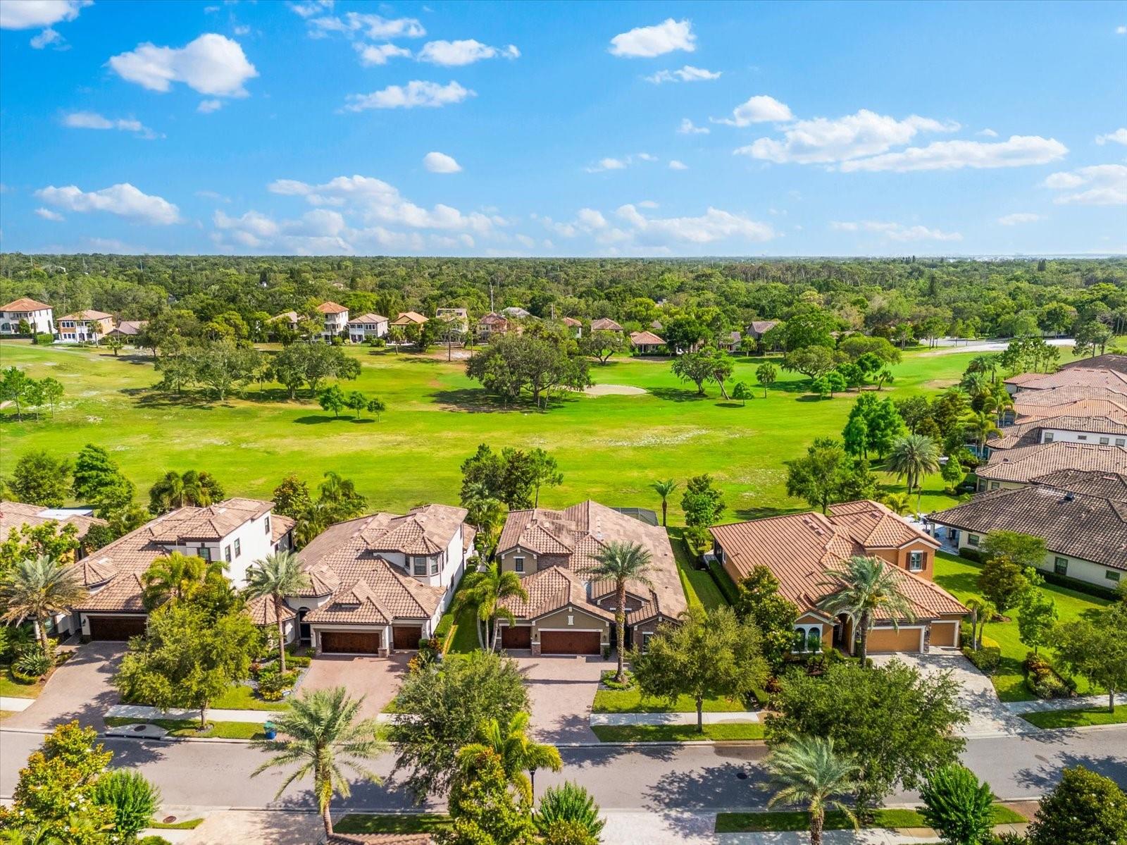 1416 VIA VERDI DR, PALM HARBOR, FL, 34683