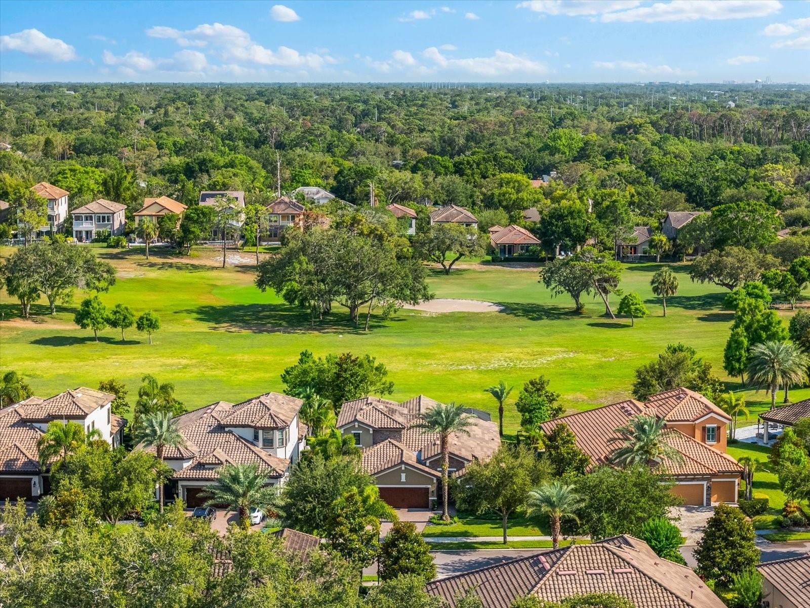 1416 VIA VERDI DR, PALM HARBOR, FL, 34683