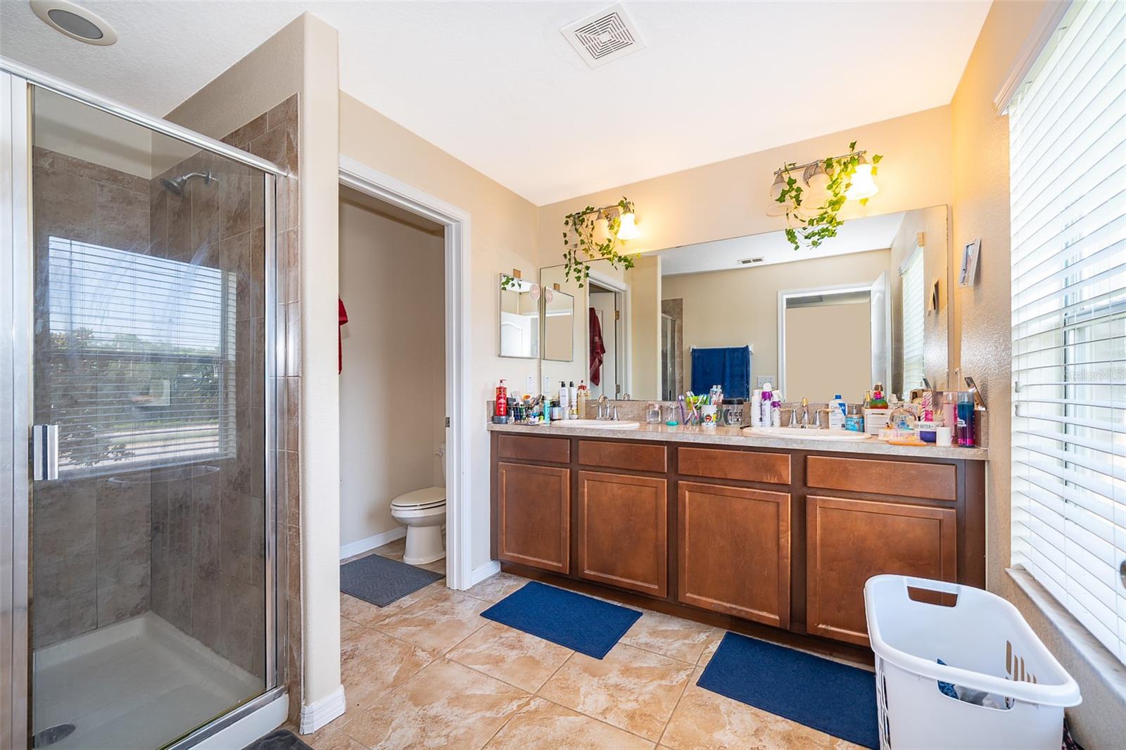 10733 SAVANNAH LANDING CIR, ORLANDO, FL, 32832