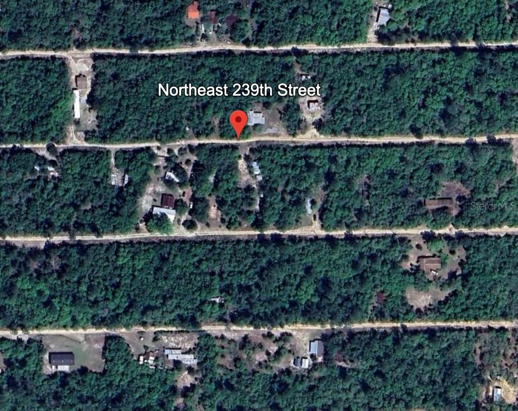 LOT 9 239TH NE 239TH ST, FORT MC COY, FL, 32134