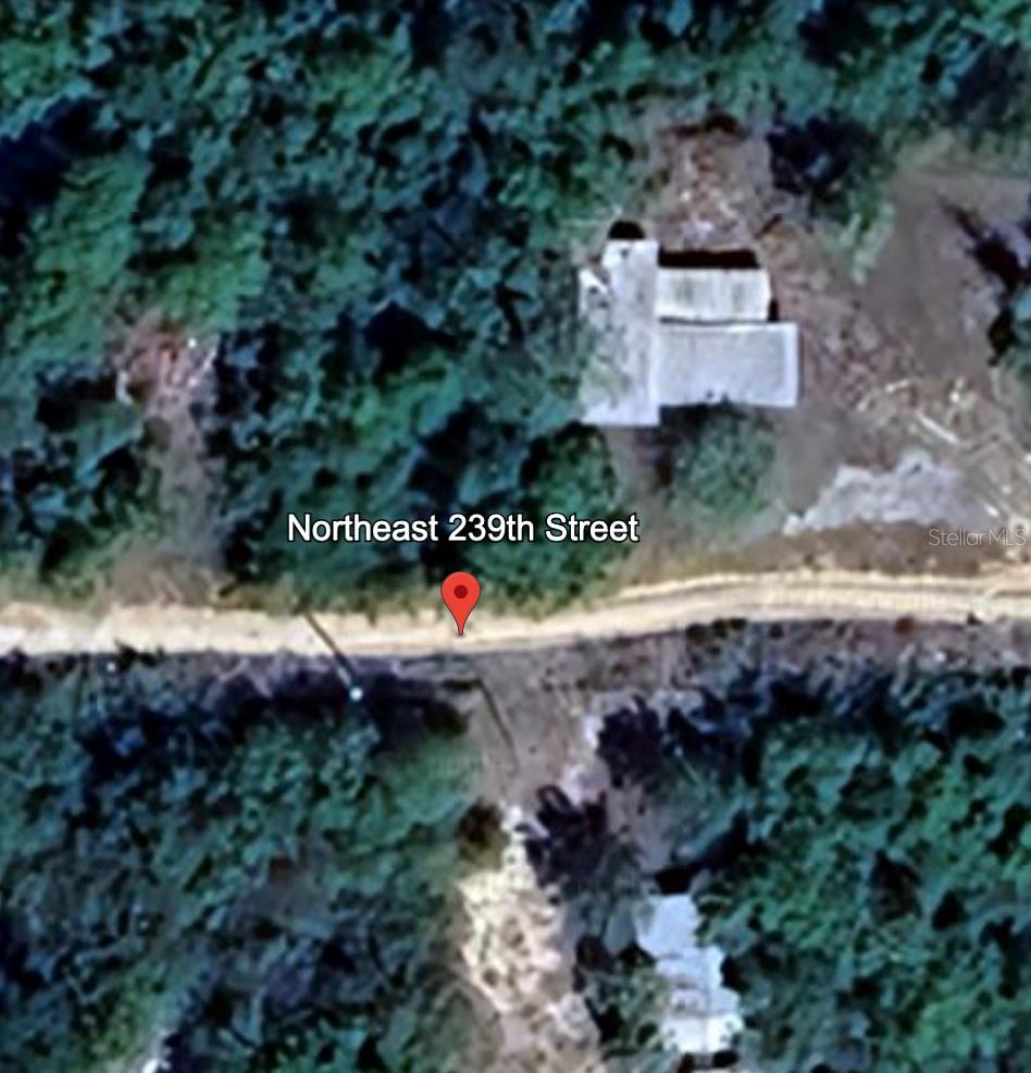 LOT 9 239TH NE 239TH ST, FORT MC COY, FL, 32134