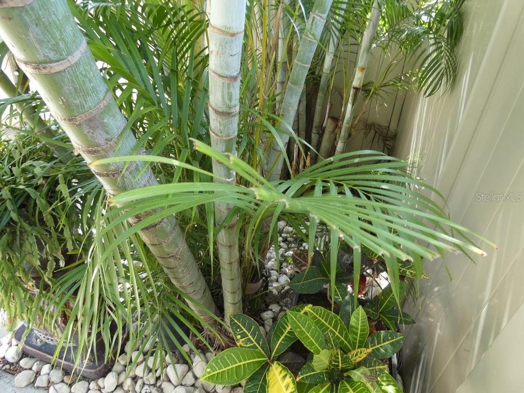 441 75TH AVE N #441, ST PETERSBURG, FL, 33702