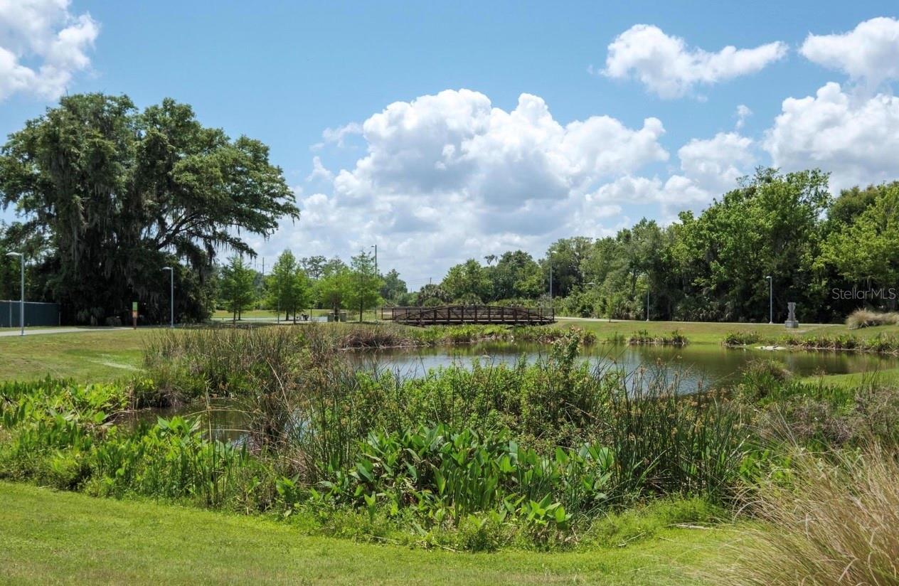 919 SE 6TH AVE, GAINESVILLE, FL, 32601