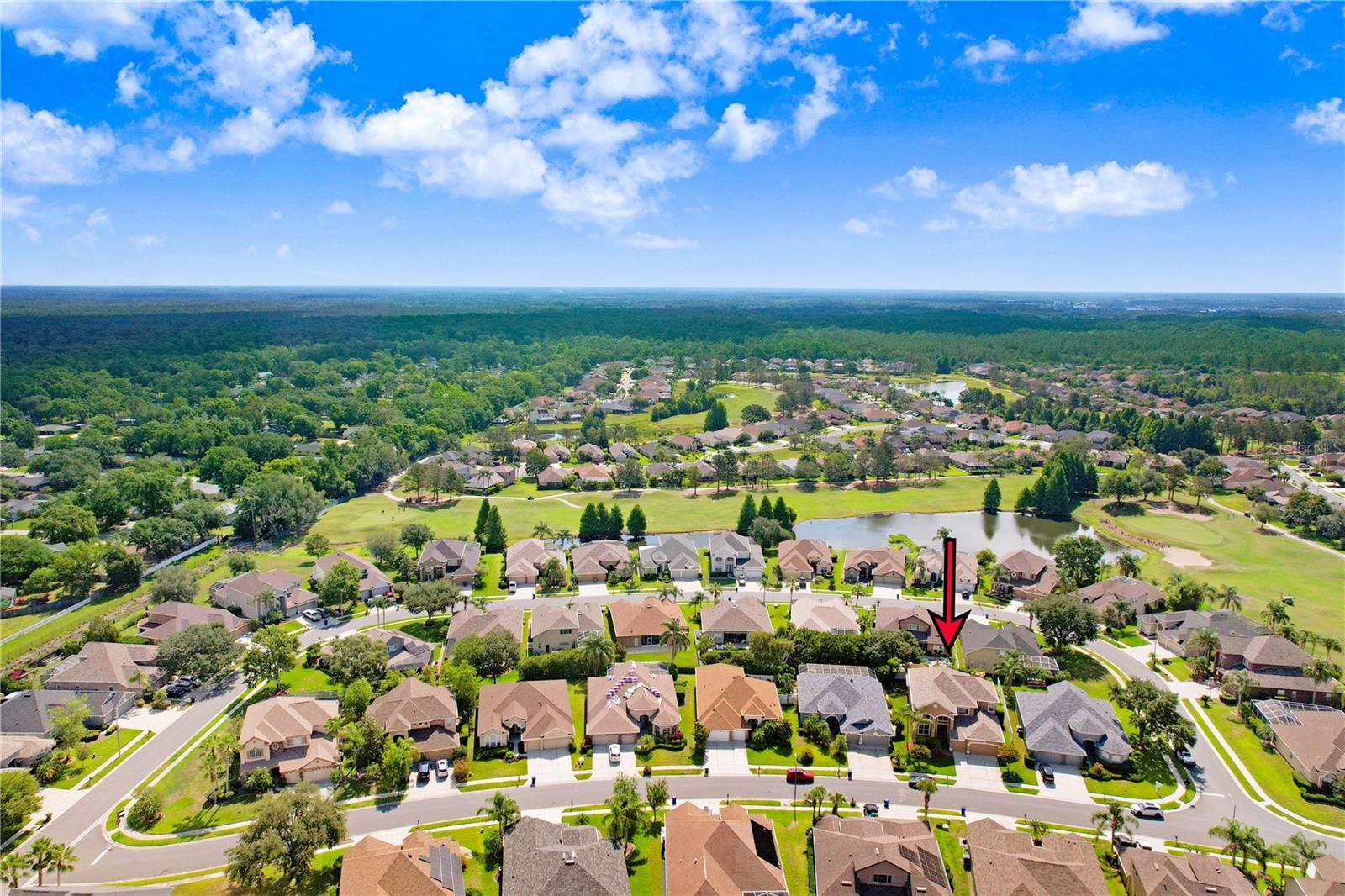 23325 ABERCORN LN, LAND O LAKES, FL, 34639