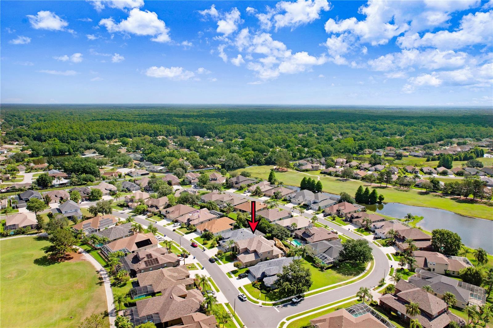 23325 ABERCORN LN, LAND O LAKES, FL, 34639