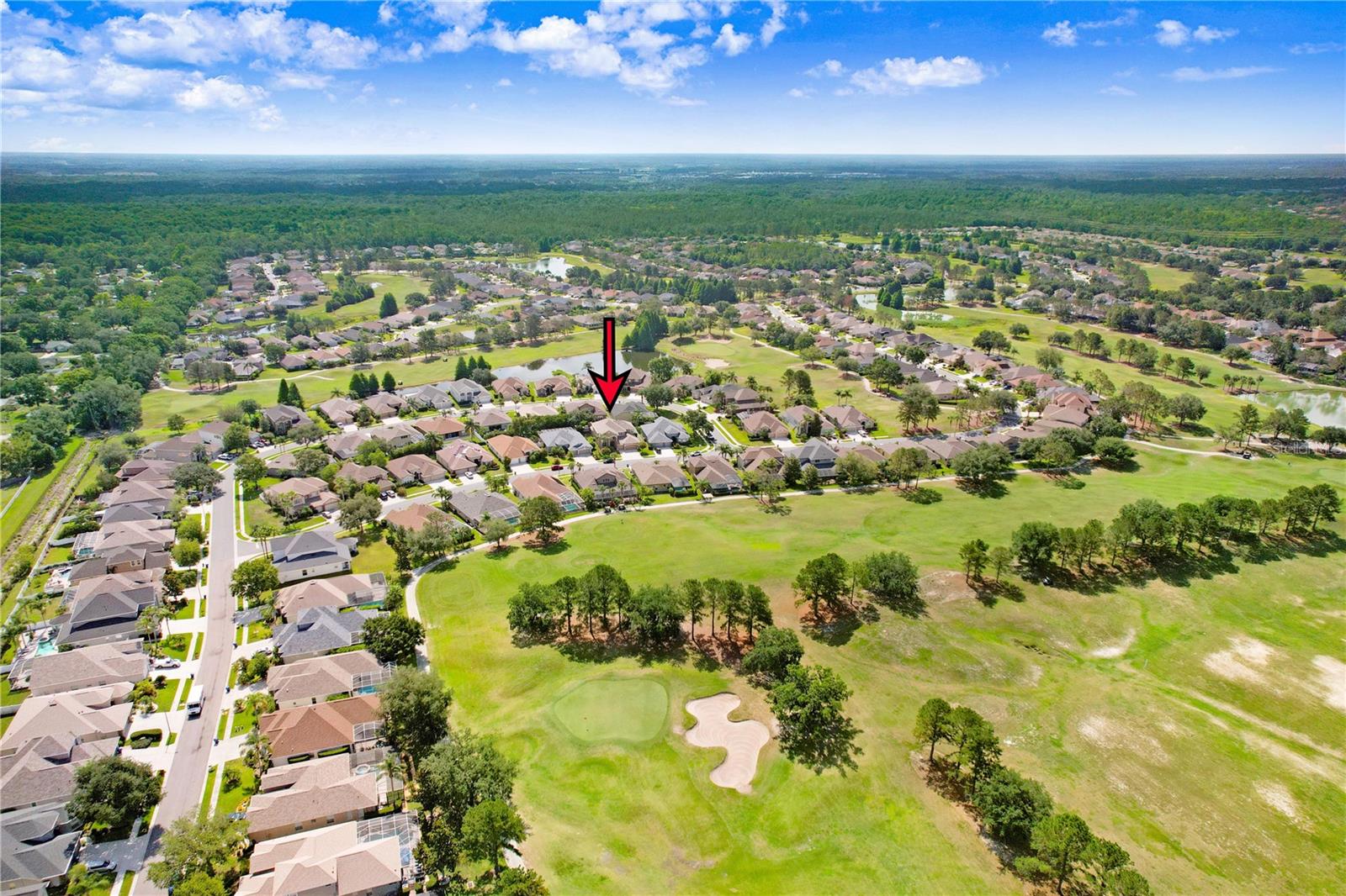 23325 ABERCORN LN, LAND O LAKES, FL, 34639