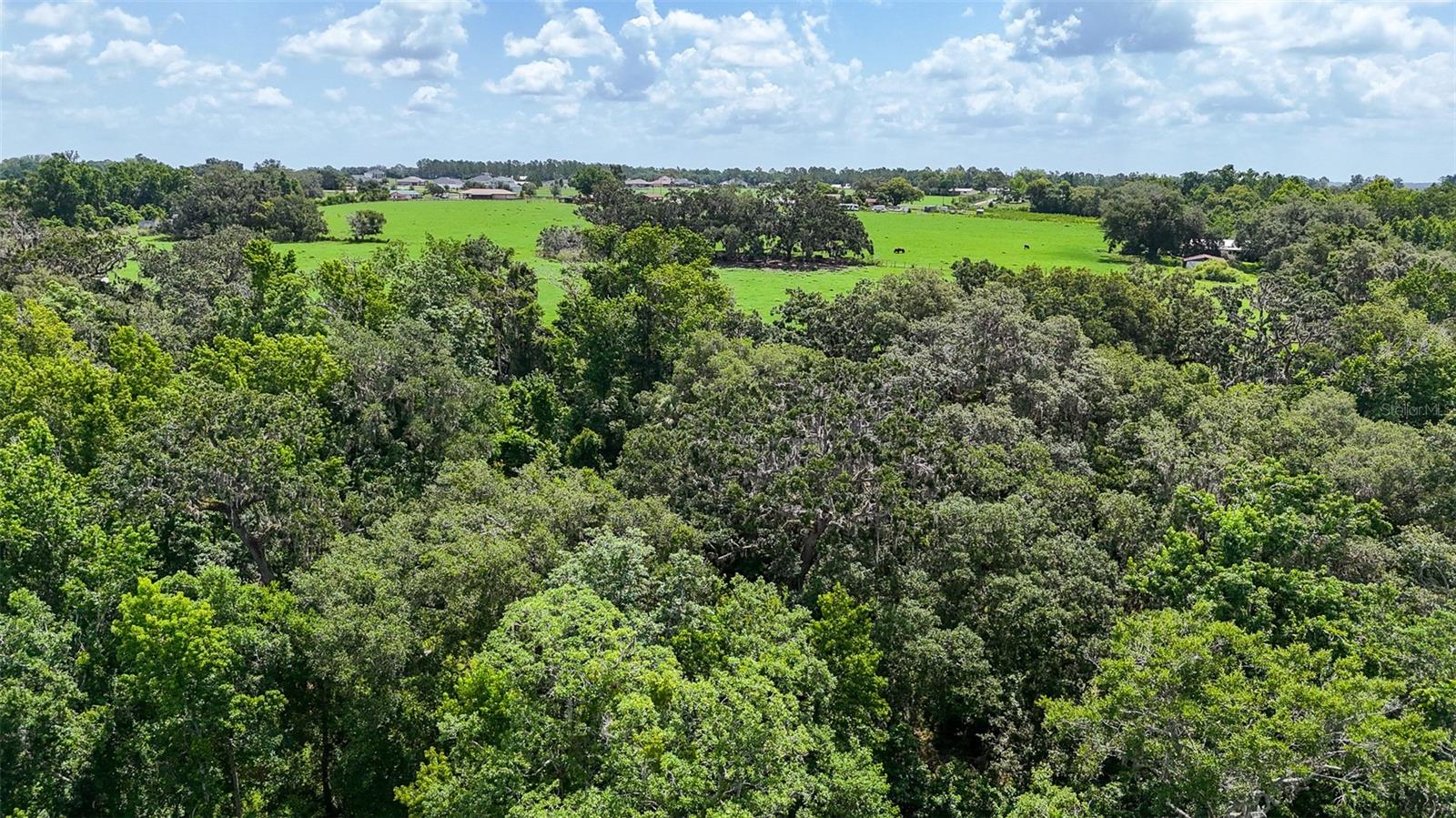 TB8388007 Property Photo