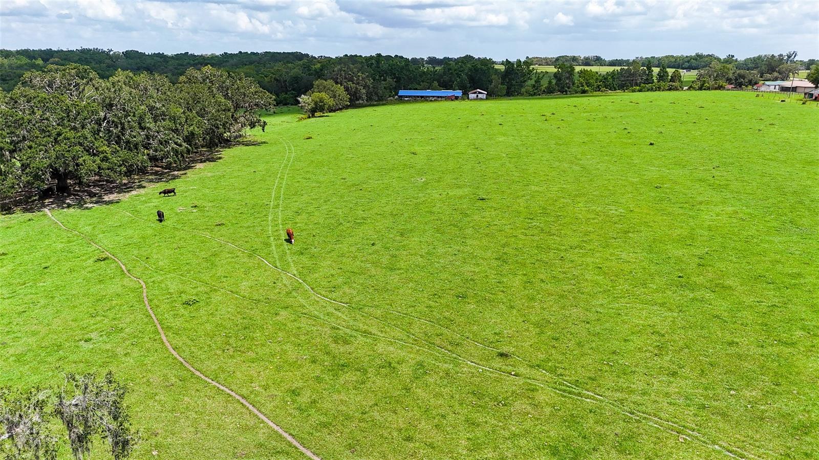 TB8388007 Property Photo