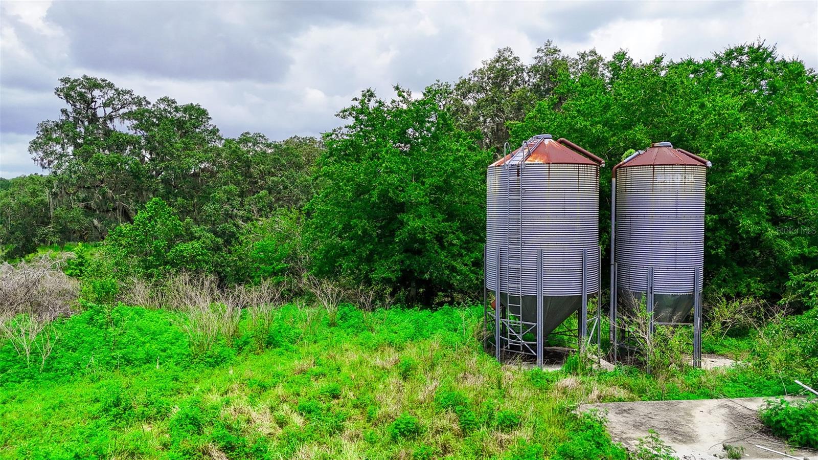 TB8388007 Property Photo