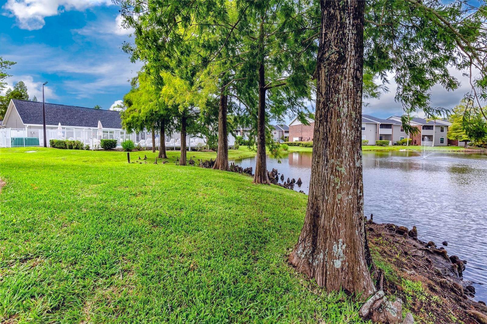 1400 GANDY BLVD N #1705, ST PETERSBURG, FL, 33702