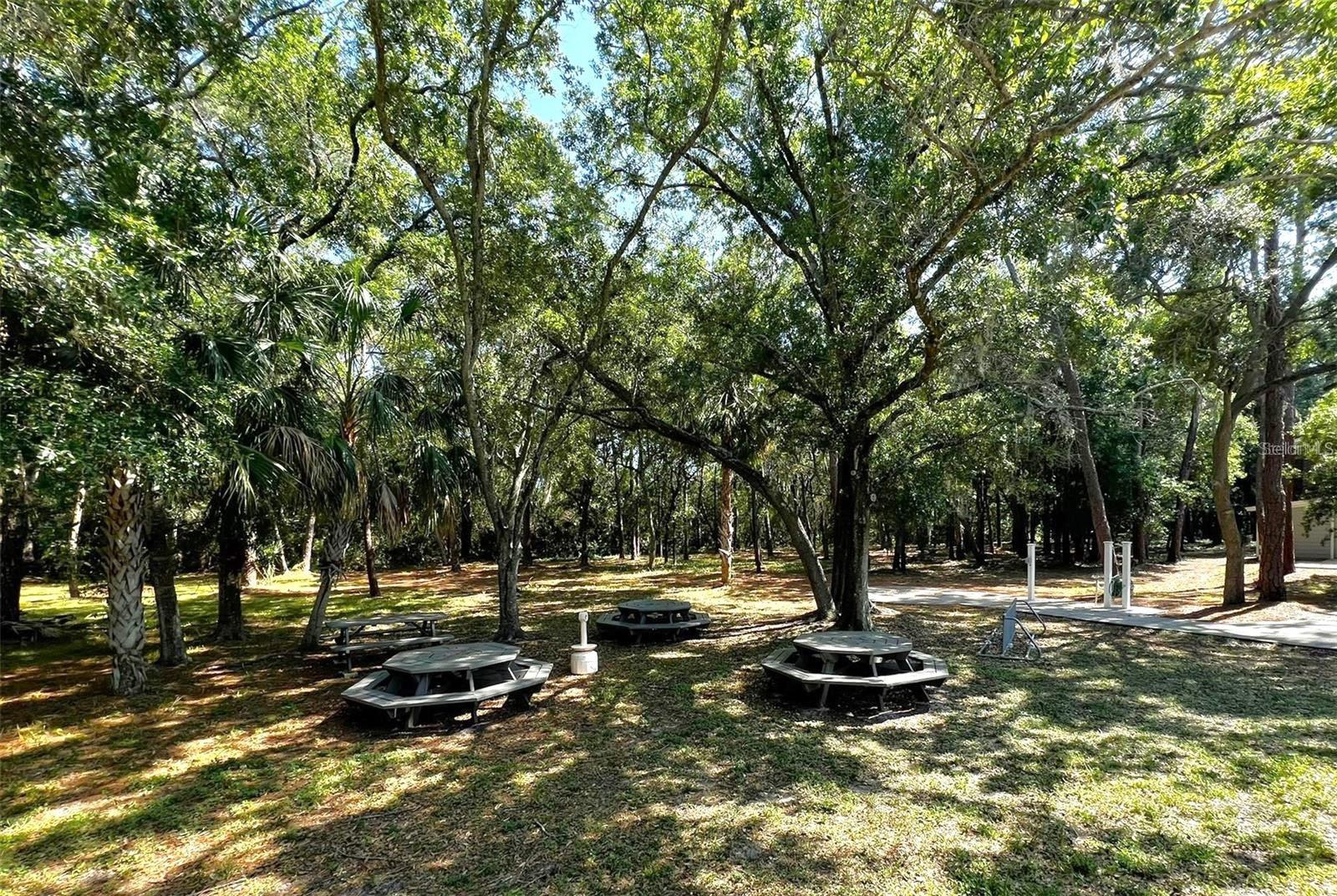 1400 GANDY BLVD N #1705, ST PETERSBURG, FL, 33702