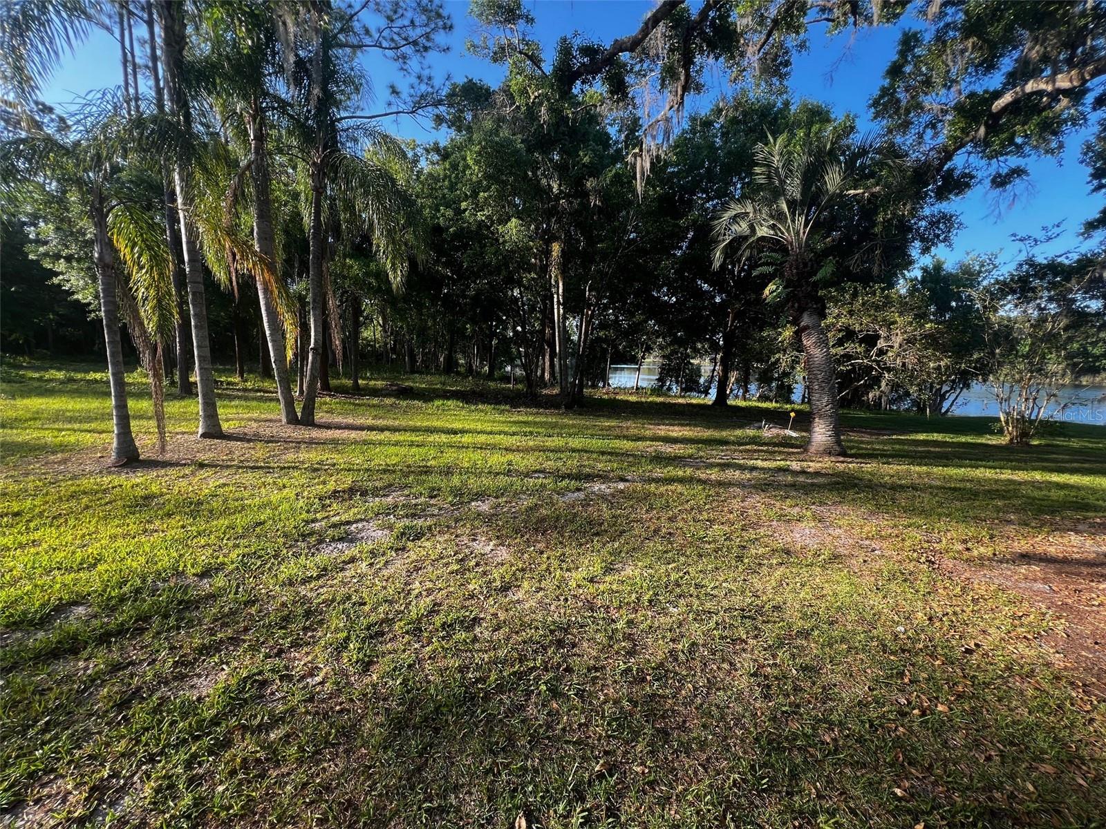 NEWBERGER, LUTZ, FL, 33549