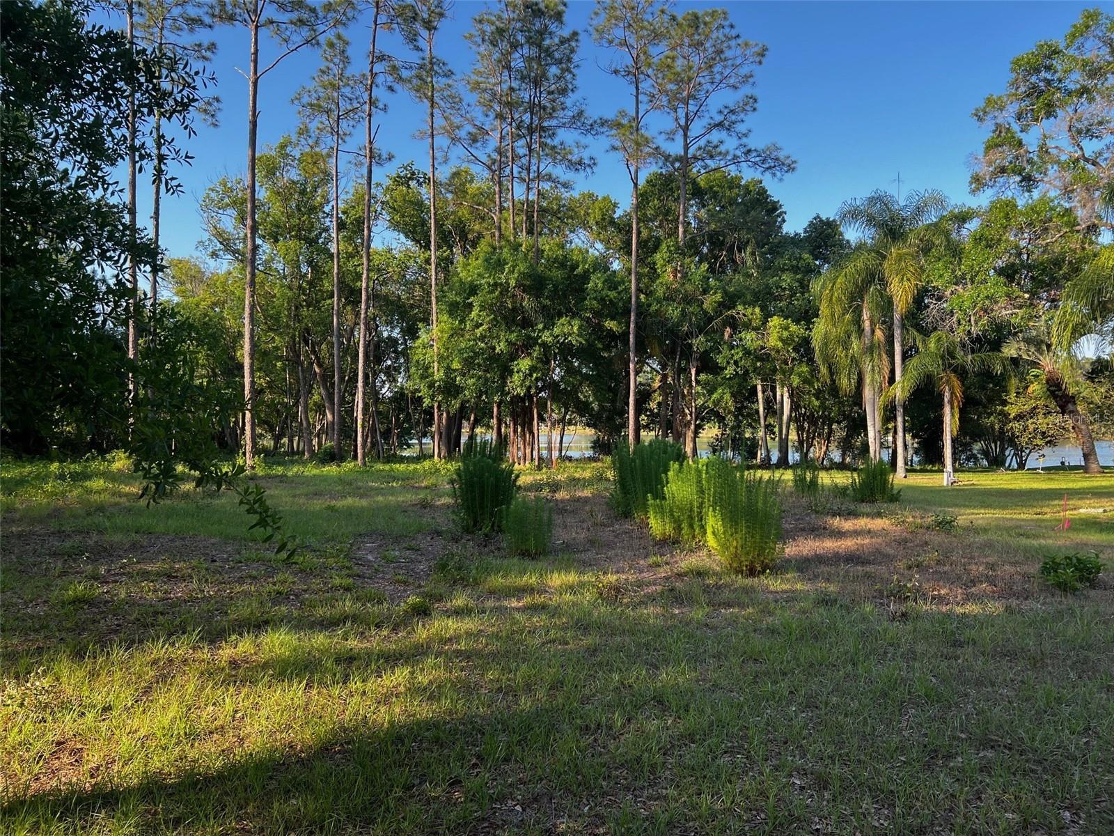 NEWBERGER, LUTZ, FL, 33549