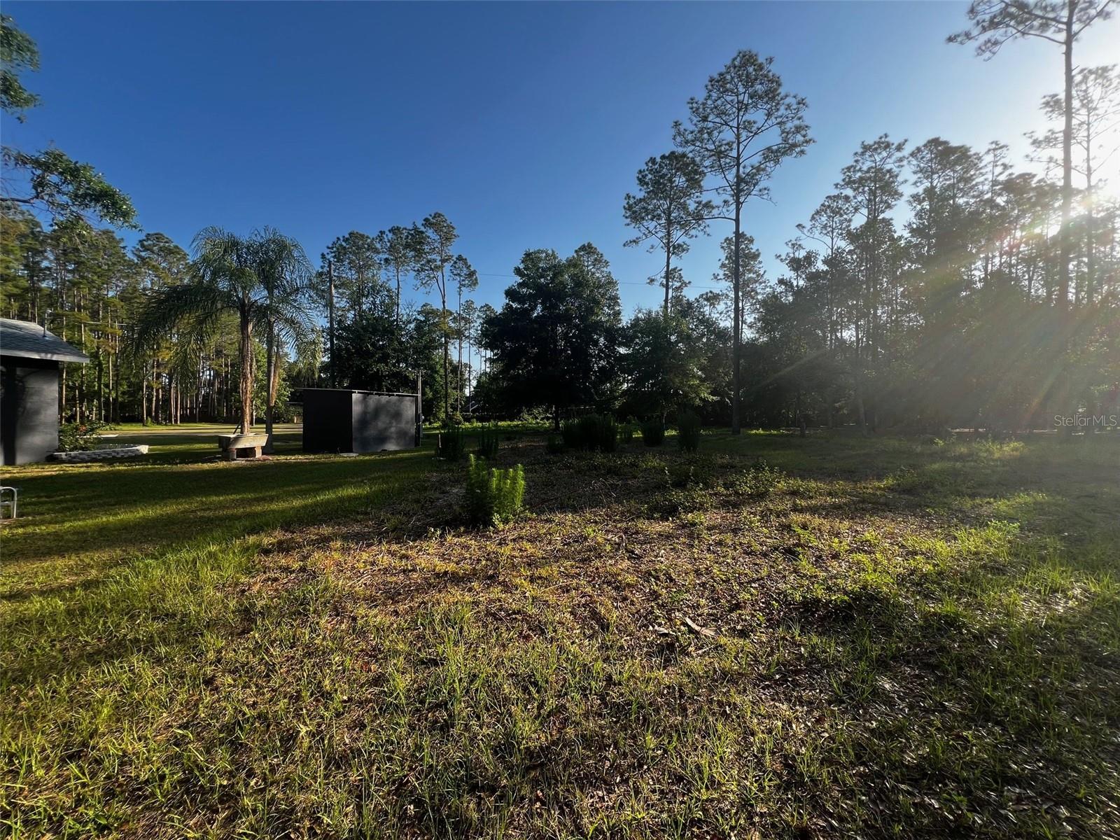 NEWBERGER, LUTZ, FL, 33549