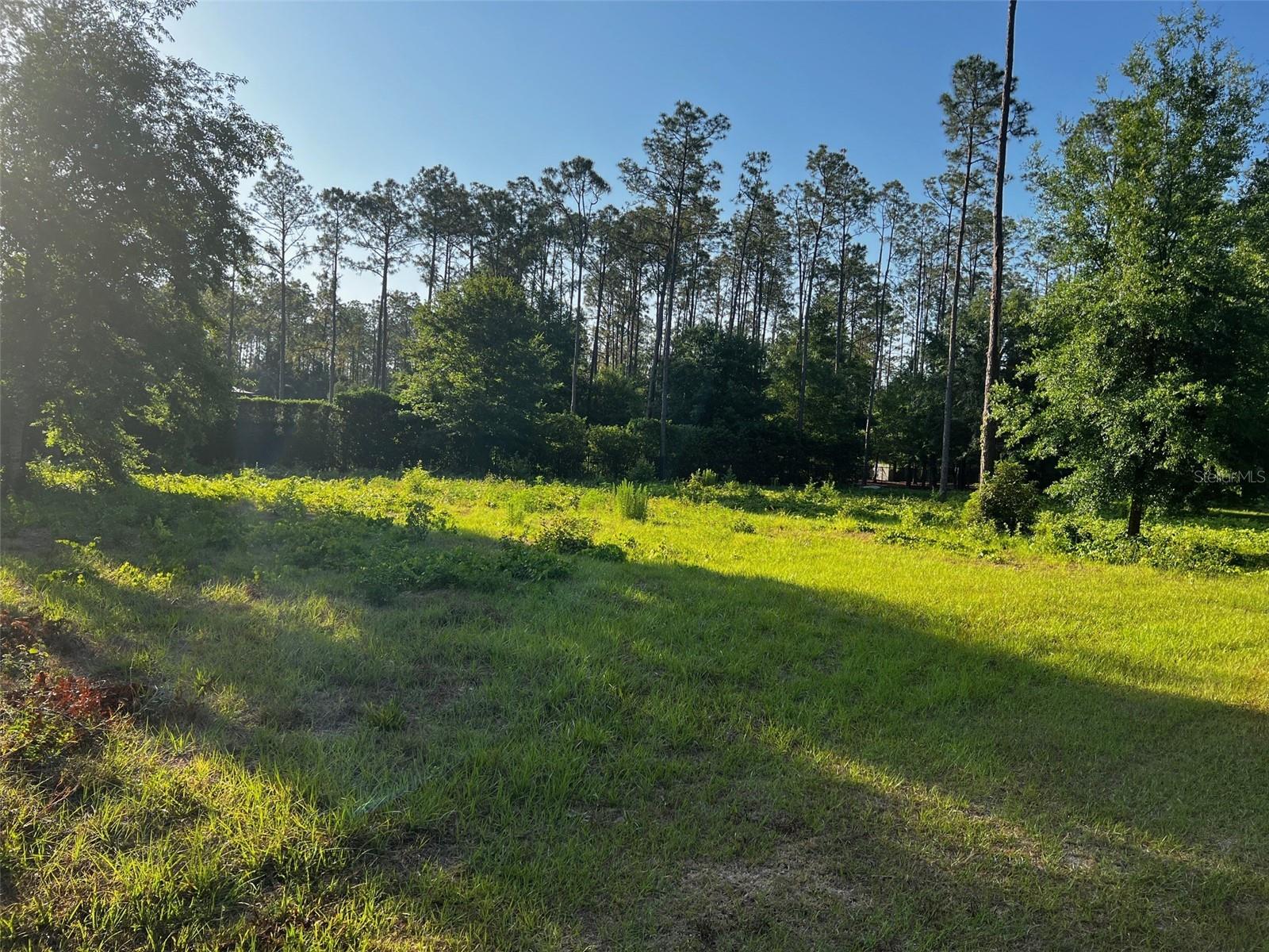 NEWBERGER, LUTZ, FL, 33549