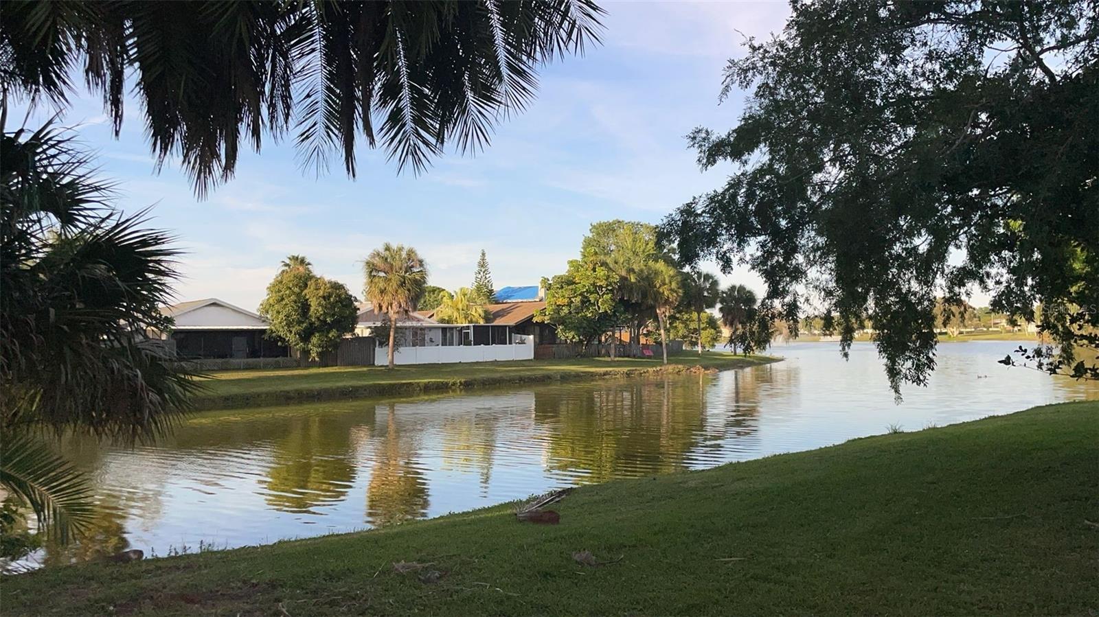 10775 GLEN ELLEN DR, TAMPA, FL, 33624